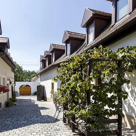 Guest house Varfal Vendeghaz *